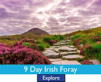 Irish Foray